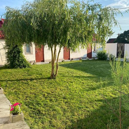 Casa David Daire Corbu Dış mekan fotoğraf