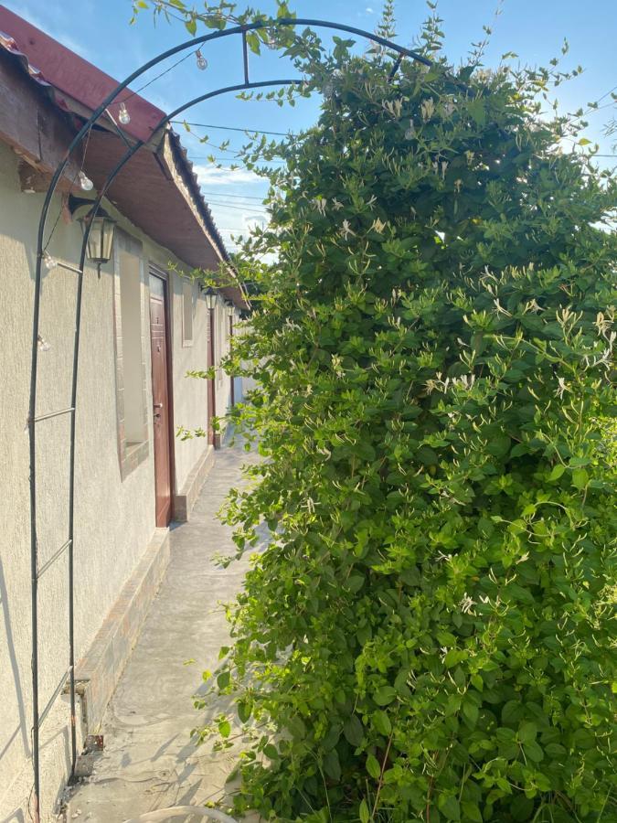 Casa David Daire Corbu Dış mekan fotoğraf